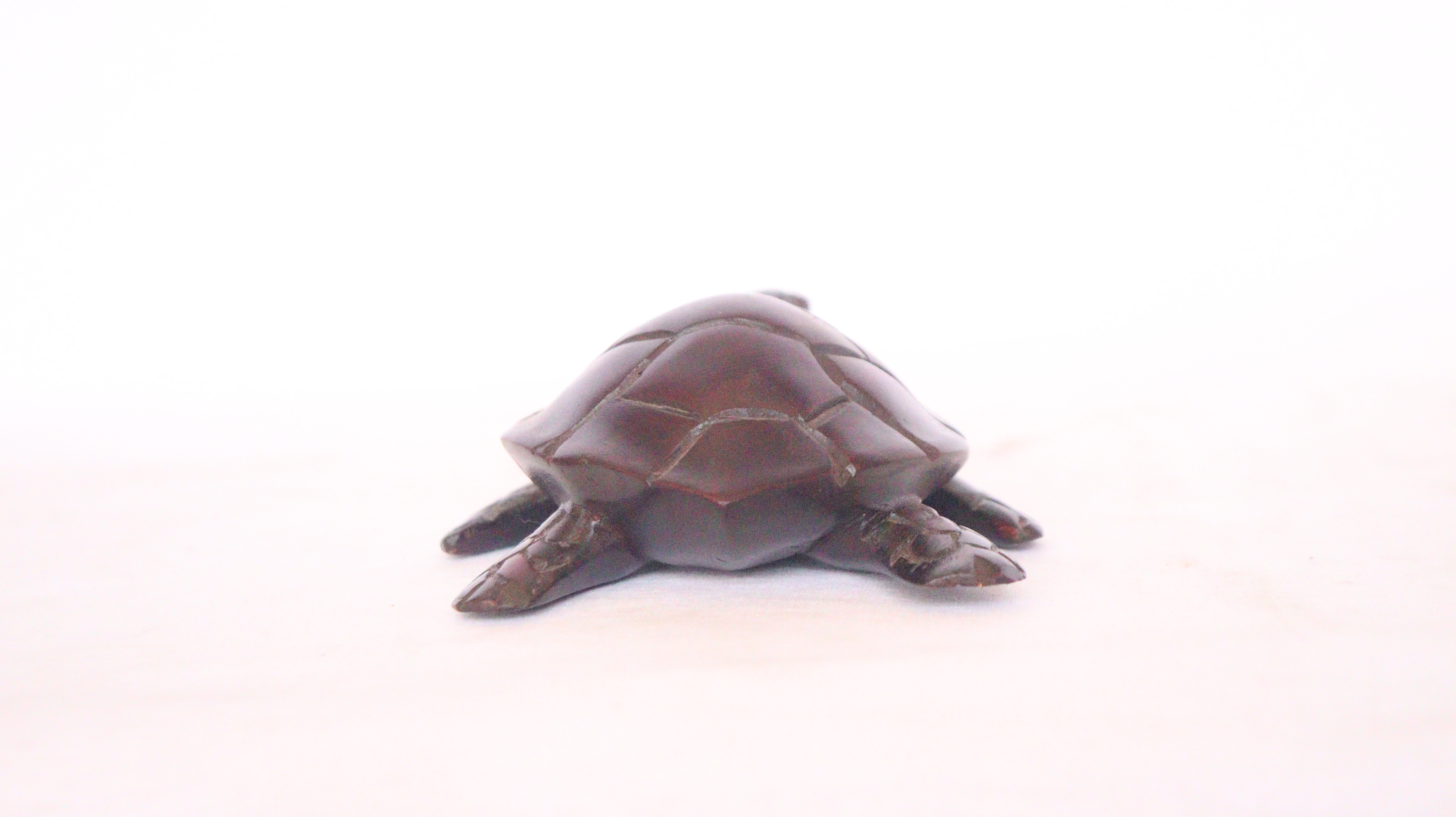 Wooden Sea Turtle, Carved Sea Turtle, Wooden Curved Sea Turtle, Antiques