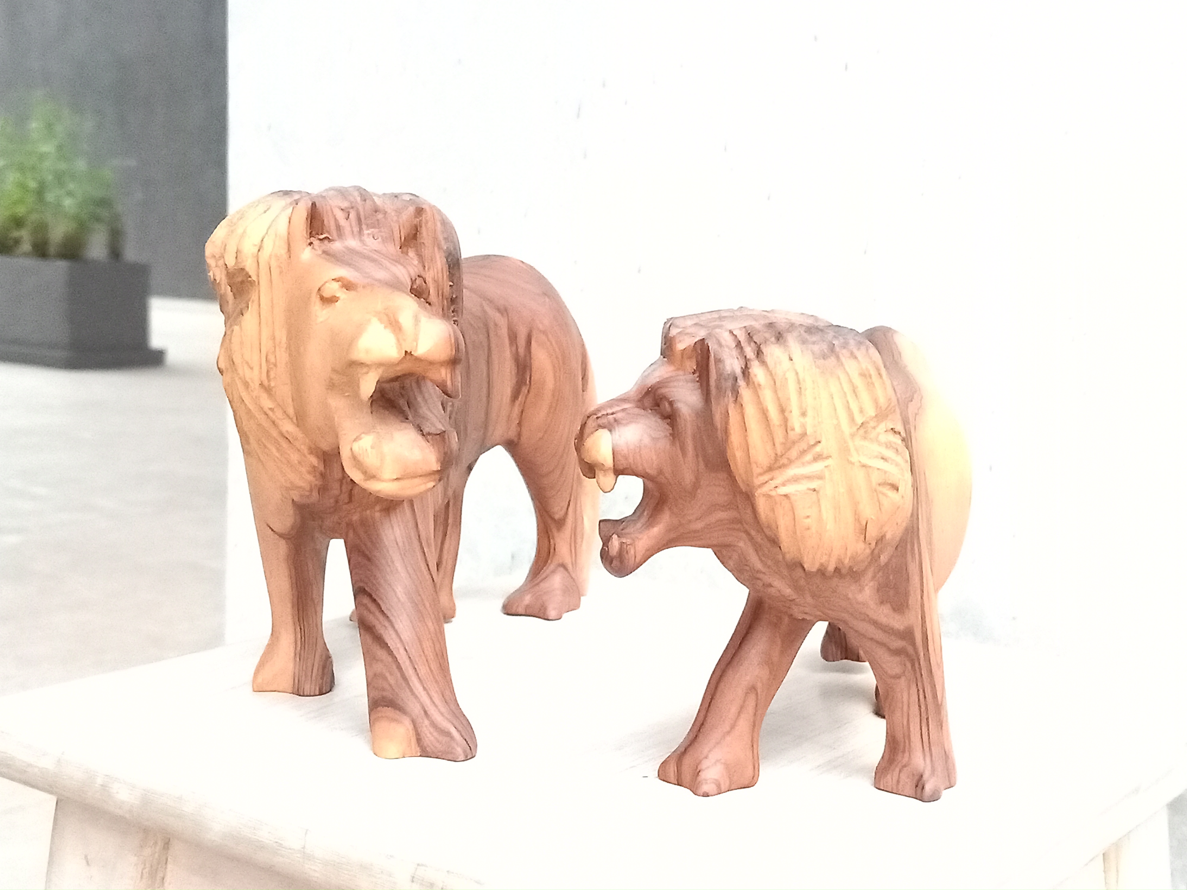 Wooden Lions Sculptures